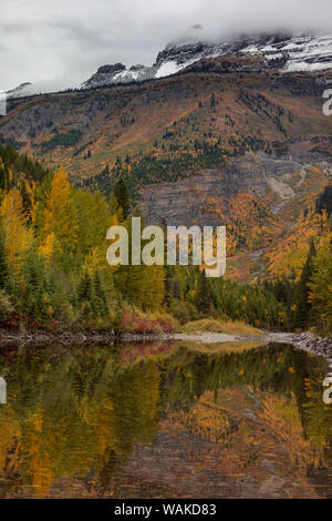 McDonald's Creek und Garten Wand im Herbst im Glacier National Park, Montana, USA Stockfoto