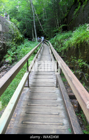Gang durch die Flume Gorge, Franconia Notch State Park, New Hampshire, USA. Stockfoto