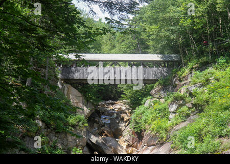 Sentinel Kiefer Brücke, Flume Gorge, Franconia Notch State Park, New Hampshire, USA. Stockfoto