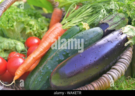 In der Nähe von frischem Gemüse mit Wassertropfen in einem Korb abgedeckt Stockfoto