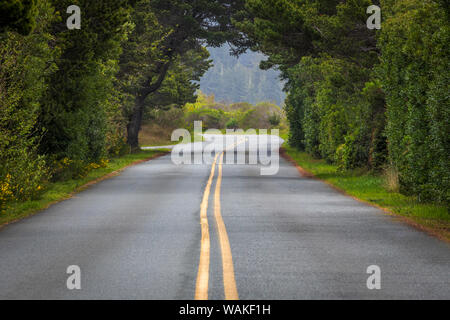 USA, Oregon, Bullards Beach State Park. Baum Bogen über der Straße. Credit: Don Paulson/Jaynes Galerie/DanitaDelimont.com Stockfoto