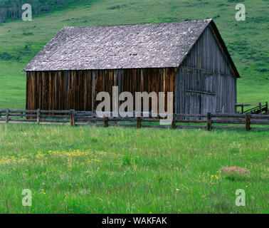 USA, Oregon. Scheune und Wildblumen im Frühling bei Zumwalt Prairie der Nature Conservancy Preserve, diesem Bereich schützt Nordamerika der größte noch intakte Haufen Gras Prärie. Stockfoto