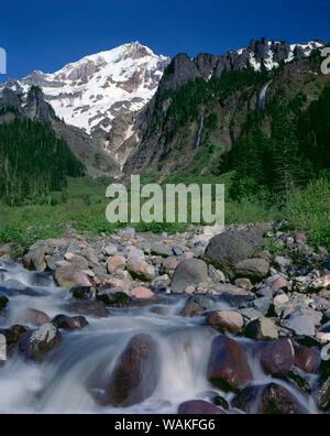 USA, Oregon. Mount Hood National Forest, Mount Hood Wilderness, schlammigen Gabel der Sandigen stammt aus westlichen Hängen des Mount Hood. Stockfoto