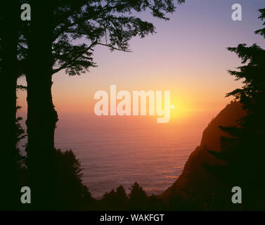 USA, Oregon. Oswald West State Park, Sommer Sonnenuntergang gesehen von unten Neahkanie Berg. Stockfoto