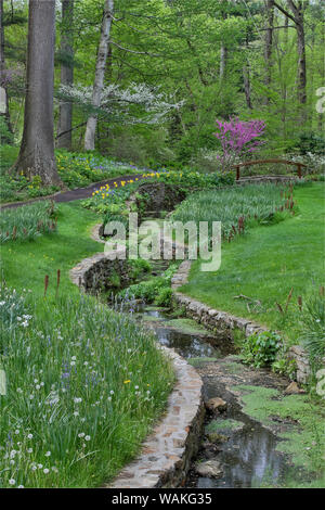 Blumen entlang der Bell Run Creek, Chanticleer Garden, Wayne, Pennsylvania Stockfoto