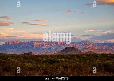 Chihuahuan Wüste Sonnenuntergang. Stockfoto