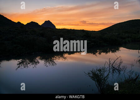 Chihuahuan Wüste Sonnenaufgang. Stockfoto