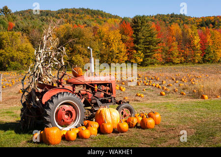Kürbisse mit Traktor und Blätter im Herbst in Vermont Landschaft, USA Stockfoto