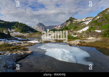 Teilweise tarn aufgetaut, gelbe Aster Butte Becken. Amerikanische Grenze Peak ist in der Ferne. Mount Baker Wilderness, North Cascades, Washington State Stockfoto