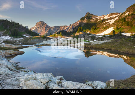 Teilweise tarn aufgetaut, gelbe Aster Butte Becken. Amerikanische Grenze Peak ist in der Ferne. Mount Baker Wilderness, North Cascades, Washington State Stockfoto