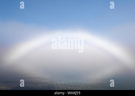 USA, Washington State, seabeck. Nebel Bug auf Haube Kanal. Credit: Don Paulson/Jaynes Galerie/DanitaDelimont.com Stockfoto