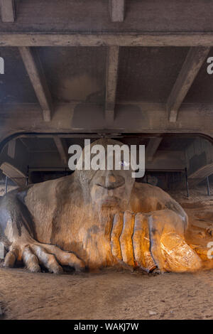 Troll unter die Fremont Bridge in Seattle, Washington State, USA Stockfoto