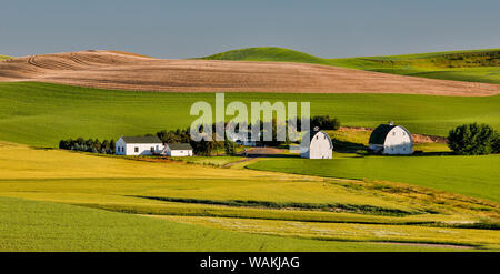 Zwei Scheunen auf Oakesdale Straße Palouse Land der östlichen Washington Stockfoto