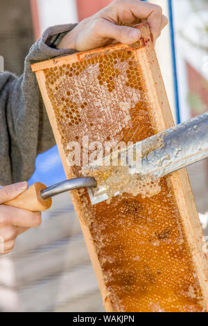 Frau mit einem elektrischen heißes Messer den Honig zu. Nehmen Sie die Verschlusskappen von den durch das Kratzen die Kappen. (MR) Stockfoto