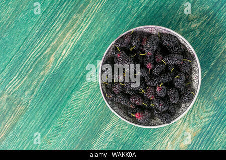 Frische rohe Maulbeeren in der Platte am grünen Holz- Hintergrund. Ansicht von oben mit der Kopie. Flach Stockfoto