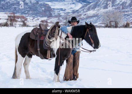 Cowboy Pferd Antrieb auf Versteck Ranch, Shell, Wyoming. Cowboy mit seinem Pferd. (MR) Stockfoto