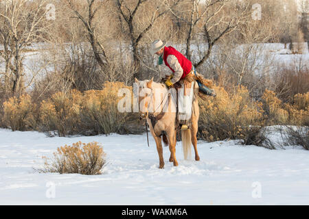 Cowboy Pferd Antrieb auf Versteck Ranch, Shell, Wyoming. Cowboy erhalten in den Sattel. (MR) Stockfoto