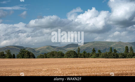 Panoramablick auf die Landschaft in der Nähe der Stadt Stirling in den schottischen Lowlands mit den Ochil Hills im Hintergrund Stockfoto