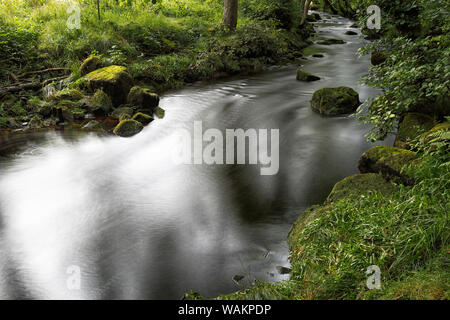 Der Fluss Washburn fließt zwischen Behälter und Thruscross Fewston Reservoir in der Washburn Tal Stockfoto