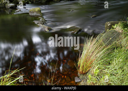 Der Fluss Washburn zwischen Behälter und Thruscross Fewston Reservoir in der Washburn Tal fließt, nidderdale North Yorkshire Stockfoto