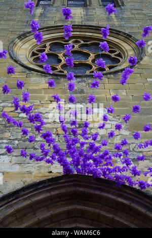 Lila festival Blumen hängen von einer französischen Kirche Stockfoto
