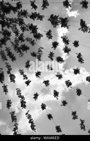 Schwarz/Weiß-Bild von Felibree festival Blüten hängen in einem Muster Stockfoto