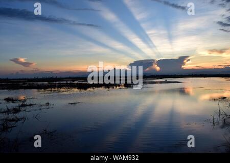 Dunkel blauen Himmel über den Sumpf bei Sonnenuntergang, Horizont ist Orange mit Lichtstrahl, schießen aus hinter dunklen Wolken Stockfoto