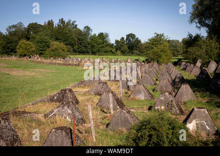 Panzersperren des Westwalls in der Nähe von Schmithof im Süden von Aachen, Nordrhein-Westfalen, Deutschland. Panzersperren des Westwall bei Schmithof im Stockfoto