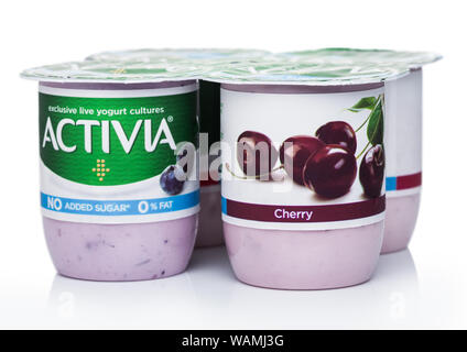 LONDON, Großbritannien - 18 August, 2019: Pack von Activia exclusive live Joghurt Kulturen mit Kirschen und Heidelbeeren auf weißem Hintergrund. Wenig Fett, ohne Zusatz von Zucker Stockfoto