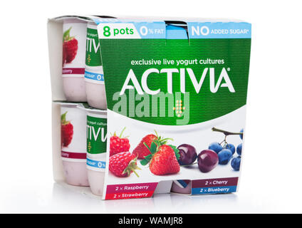 LONDON, Großbritannien - 18 August, 2019: Pack von Activia exclusive live Joghurt Kulturen mit Beeren auf weißem Hintergrund. Wenig Fett, ohne Zusatz von Zucker Stockfoto