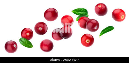 Cranberry isoliert auf weißem Hintergrund mit Freistellungspfad Stockfoto