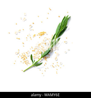 Tee Kräuter noch leben Flatlay auf weißem Hintergrund Stockfoto