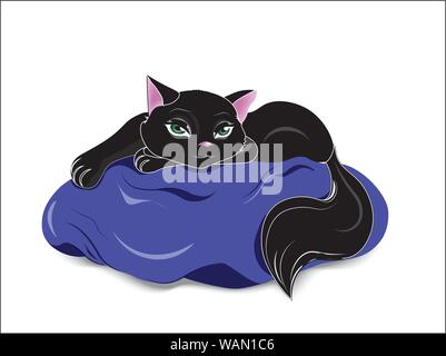 Die schwarze Katze mit grünen Augen, liegt auf einem blauen Kissen Stock Vektor