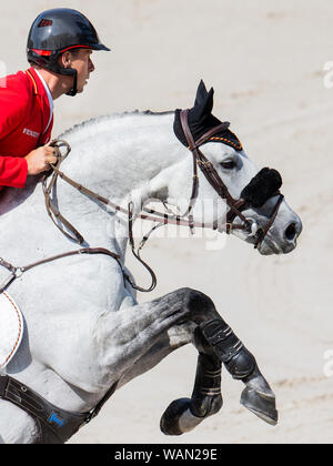 Rotterdam, Niederlande. 21 Aug, 2019. Europameisterschaften, Reitsport, Springreiten, individuelle und Team Qualifikation: Der Reiter Christian Ahlmann aus Deutschland auf dem Pferd Clintrexo springt über ein Hindernis. Credit: Rolf Vennenbernd/dpa/Alamy leben Nachrichten Stockfoto