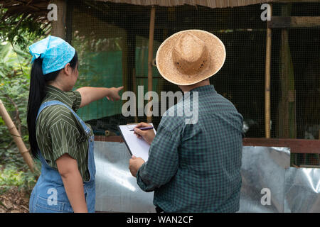 Asiatische Hühnerfarmer ist Lehre und Prüfung der Zuchtbedingungen zu seiner Frau von Legehennen zu reinigen und Qualität Hühnereier Form organischen Fa erhalten. Stockfoto