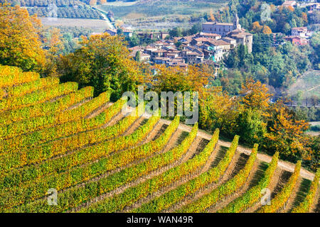 Herbst Landschaft - schöne bunte Weinberge des Piemont, Wein Region des nördlichen Italien Stockfoto