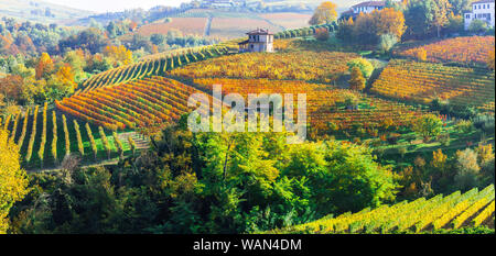 Herbst Landschaft - schöne bunte Weinberge des Piemont, Wein Region des nördlichen Italien Stockfoto