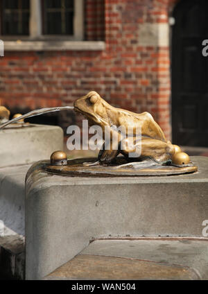 Frosch im Brunnen (Pomnik Raftsman flisaka) in Torun. Polen Stockfoto