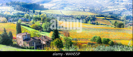 Beeindruckende Landschaft der Toskana, Chianti Region, mit Blick auf Weinberge und Hügel, Italien. Stockfoto