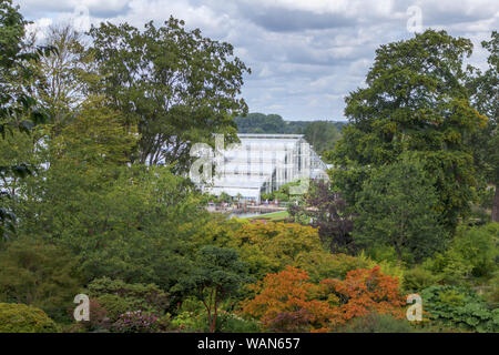 Blick durch die Bäume aus dem Steingarten auf die Glasshouse in RHS Garden, Wisley, Surrey, Südost England im Sommer an einem sonnigen Tag Stockfoto