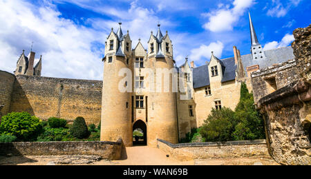 Schöne Montreuil Bellay schloß, Loire Tal, Frankreich. Stockfoto