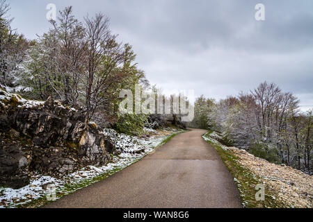 Montenegro, Weltberühmten spektakuläre sedlo Pass Route durch Schnee führenden fallenden Baum Natur Landschaft im Frühling Saison im durmitor National Par Stockfoto