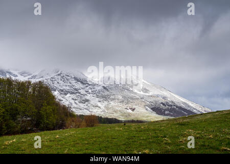 Montenegro, bunte grüne Wiese und Bäume der Wald im Gegensatz zu den weißen, schneebedeckten Berge des Nationalpark Durmitor Natur Landschaft in verborgenen Stockfoto