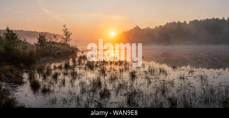 Sonnenaufgang über einem Teich im Grünland - Limburg, Belgien. Im Sommer geht die Sonne genau zwischen den Bäumen im Hintergrund. Ein bisschen Nebel abgeschlossen ist Stockfoto