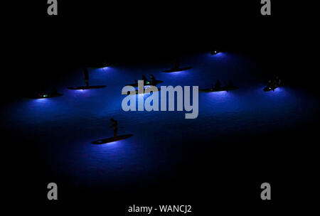 Paddler Kreuzfahrt die Gewässer von Frenchman's Bay in der Dämmerung während einer Nacht Zeit Kajak Ausflug auf St. Thomas, U.S. Virgin Islands. Stockfoto