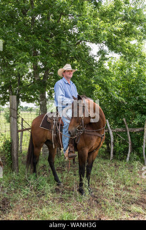 Cowhand Craig Bauer, auf seinem Pferd, Spaghetti, an der 1.800-acre Lonesome Pine Ranch, eine working Cattle Ranch, die Teil des Texas Ranch Leben Ranch Resort in der Nähe von Chappell Hill im Austin County, Texas Stockfoto