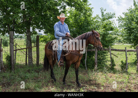 Cowhand Craig Bauer, auf seinem Pferd, Spaghetti, an der 1.800-acre Lonesome Pine Ranch, eine working Cattle Ranch, die Teil des Texas Ranch Leben Ranch Resort in der Nähe von Chappell Hill im Austin County, Texas Stockfoto