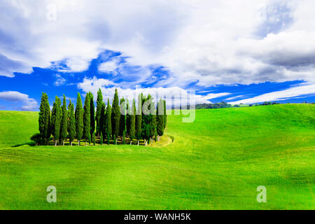 Beeindruckende Landschaft der Toskana, Val d'Orcia, in der Nähe von Pienza, Italien. Stockfoto