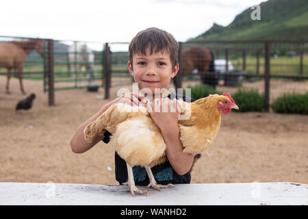 Little Boy holding Huhn in Pen Stockfoto