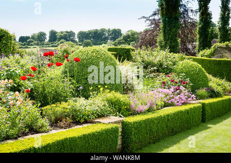 Gemischte berbaceous Grenze in einem Englischen Garten im Juni mit Box hedging und Rasen in einem Cotswold Landschaft Stockfoto